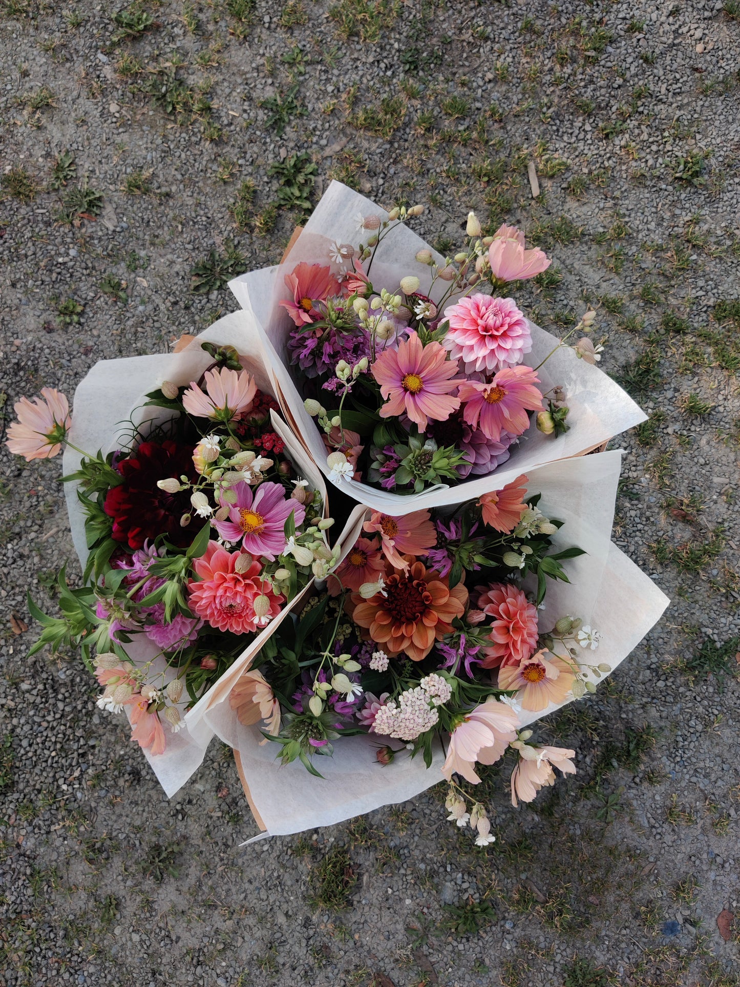 'Kitchen Table Flowers' Subscription Service